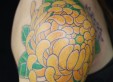 05IMG_0301